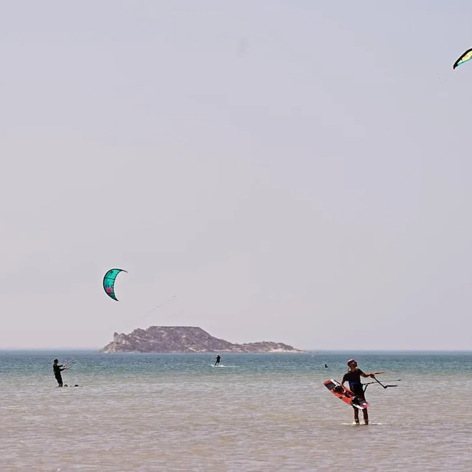 Multiple kiteboarders practice with colorful kites in shallow water off Dakhla with a rocky island visible on the horizon.