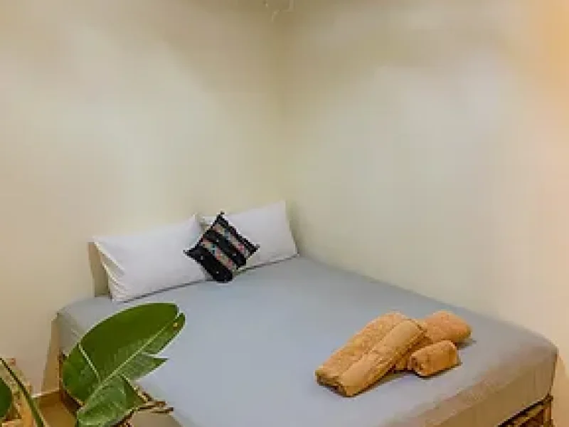 Small private bedroom with white bedding, decorative pillow, potted plant, and wooden bed frame in Taghazout.