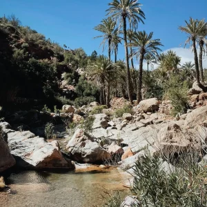 Paradise Valley palms and natural pools near Taghazout