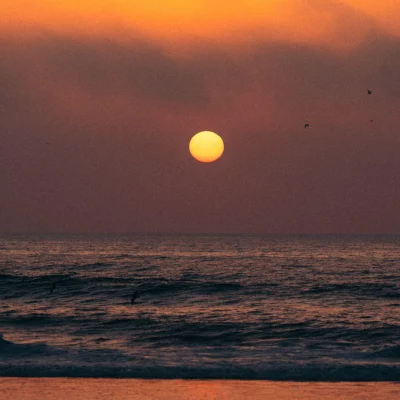 Is Taghazout Worth Visiting in 2026? An Honest Surfer's Verdict
