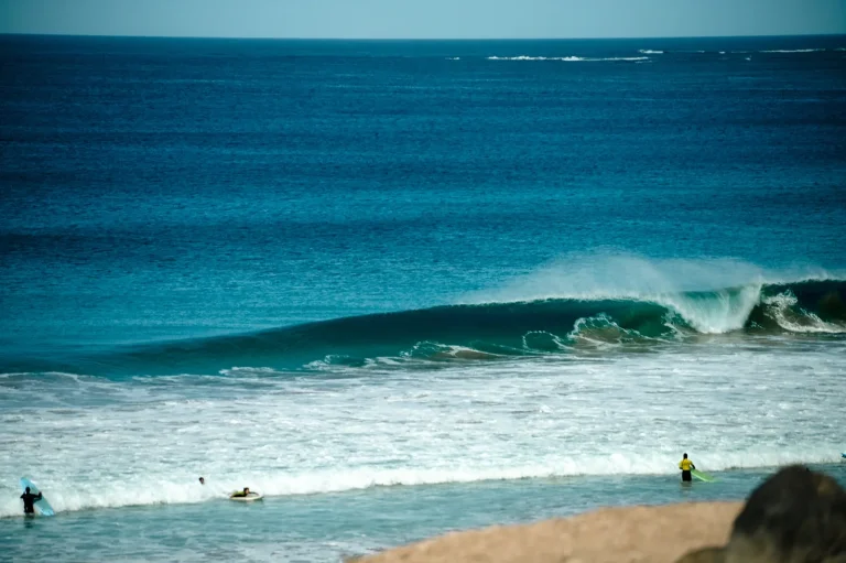 Fuerteventura Kitesurf Guide: Wind, Spots and Season