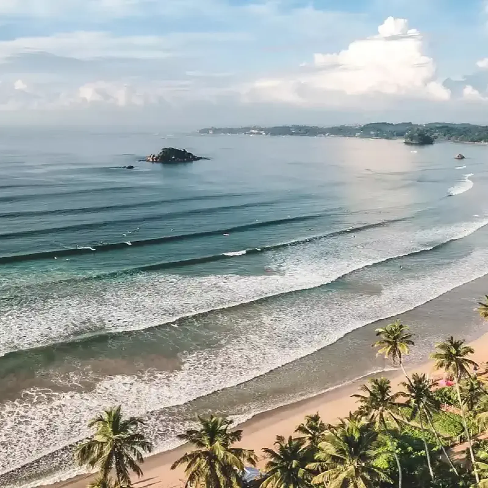 Plage côtière avec petite île au large, plusieurs vagues déferlantes, palmiers au premier plan.
