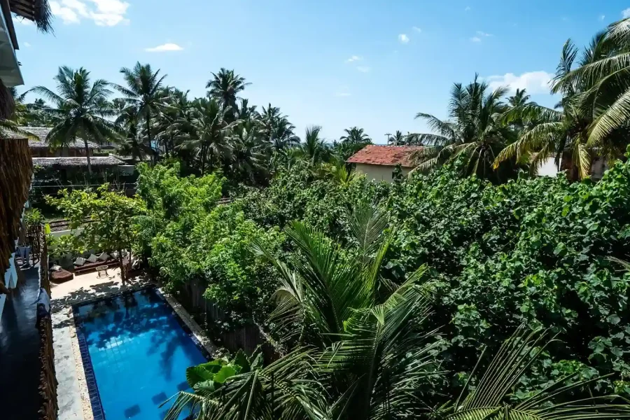 The camp's blue-tiled pool surrounded by dense tropical vegetation, palm trees, and a residential building with terracotta roof in Ahangama, Sri Lanka.