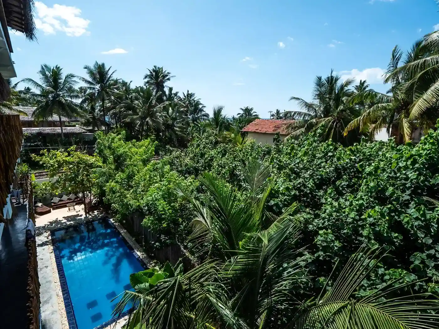 Piscina de Gota Dagua Surf Camp rodeada de vegetación tropical en Ahangama, sur de Sri Lanka