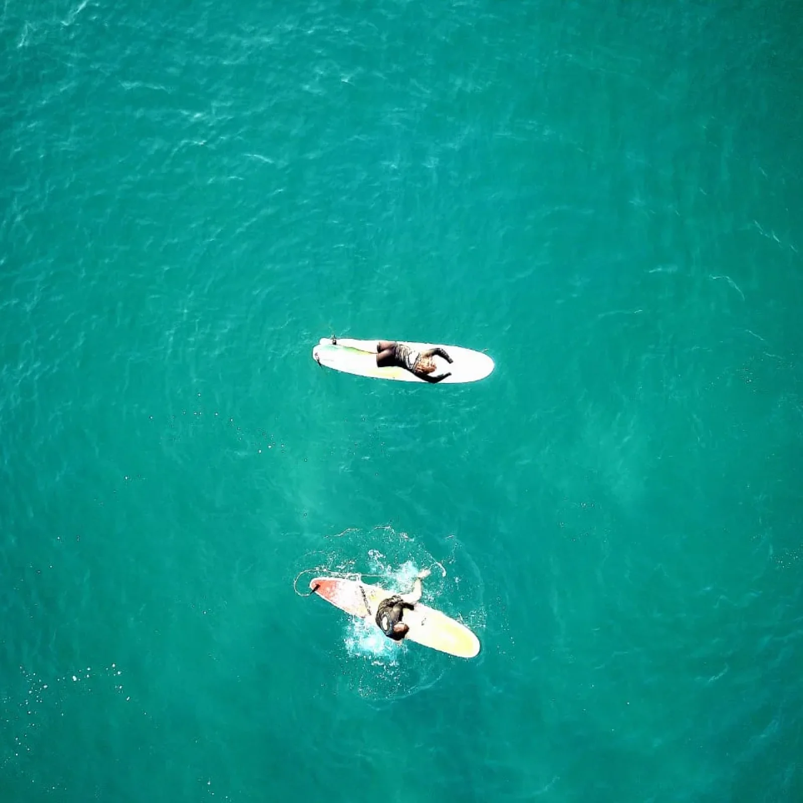 Vue aérienne de deux surfeurs sur des planches blanche et jaune ramant dans l'eau turquoise d'Arugam Bay.