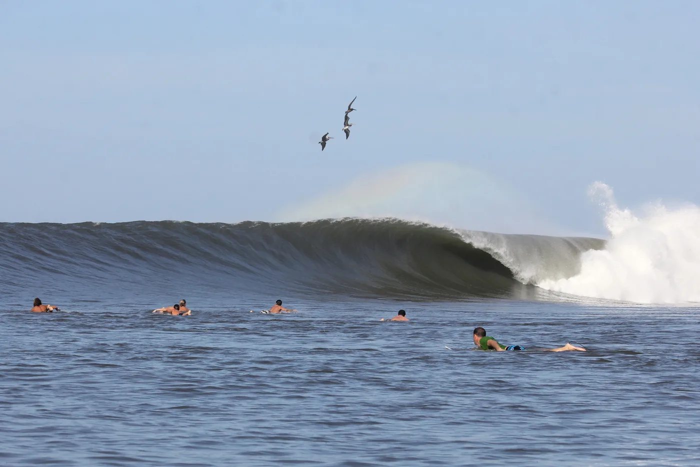 Plusieurs surfeurs dans le line-up de Punta Mango pendant qu'un tube casse derrière eux, Salvador